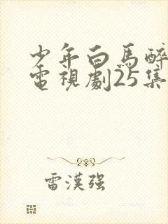 少年白马醉春风电视剧25集免费观看