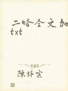 二哈全文加番外txt