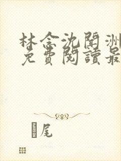 林念沈闻洲全文免费阅读最新章节