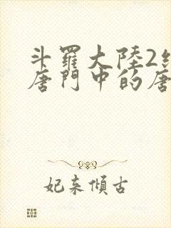 斗罗大陆2绝世唐门中的唐雅封面