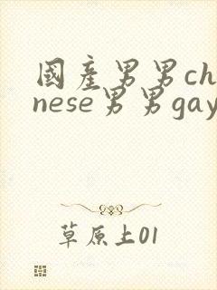 国产男男chinese男男gaygay网站