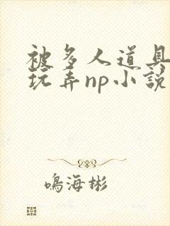 被多人道具调教玩弄np小说在线阅读