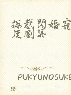 总裁闪婚宠妻无度剧集