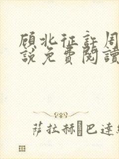 顾北征许周舟小说免费阅读最新章节