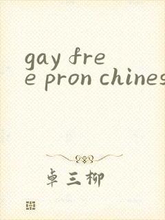 gay free pron chinese