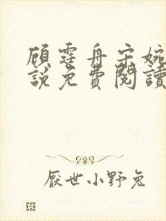 顾霆舟宋婉清小说免费阅读最新章节