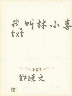 我叫林小喜小说txt