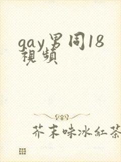 gay男同18视频
