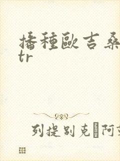 播种欧吉桑与ntr