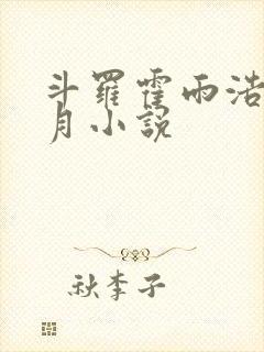 斗罗霍雨浩在日月小说