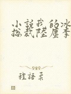 小说我的冰山女总裁陆尘李清瑶免费阅读