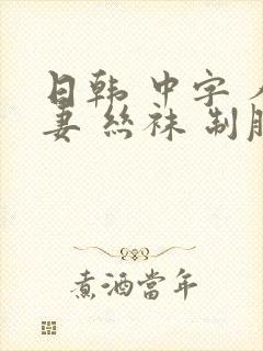 日韩 中字 人妻 丝袜 制服