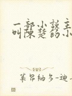 一部小说主人公叫陈楚的小说