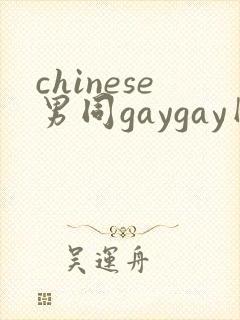 chinese男同gaygay网站