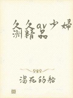 久久av少妇亚洲精品