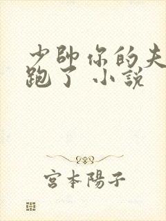 少帅你的夫人又跑了 小说