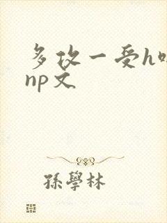 多攻一受h啪肉np文封面