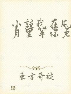 小说我在风花雪月里等你免费阅读