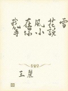 我在风花雪月里等你小说