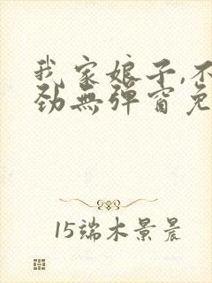 我家娘子,不对劲无弹窗免费下载