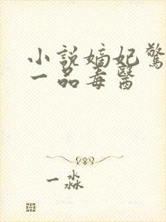 小说嫡妃惊华:一品毒医