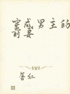 穿成男主的炮灰前妻