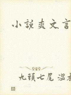 小说爽文言情封面