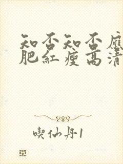 知否知否应是绿肥红瘦高清全集在线观看