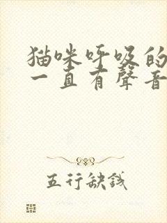 猫咪呼吸的时候一直有声音是怎么回事封面