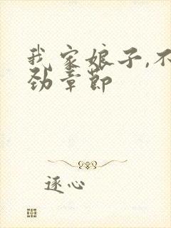 我家娘子,不对劲章节