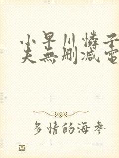 小早川怜子趁丈夫无删减电影