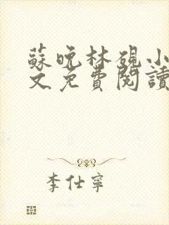 苏晚林砚小说全文免费阅读封面