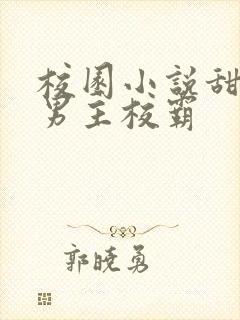 校园小说甜宠文男主校霸