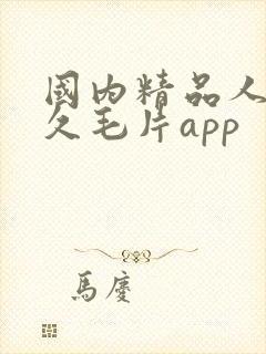 国内精品人妻久久毛片app