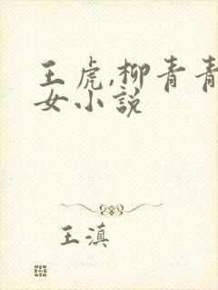 王虎,柳青青父女小说封面