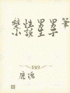 双性男男笔趣阁小说生子