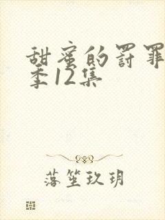 甜蜜的罚罪第二季12集