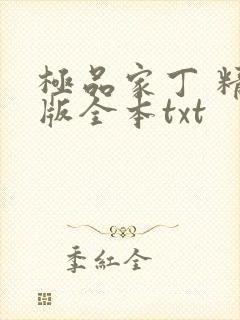 极品家丁 精校版全本txt