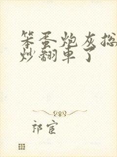 笨蛋炮灰总被爆炒翻车了