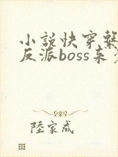 小说快穿系统之反派boss来袭免费阅读