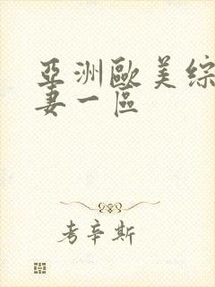 亚洲欧美综合人妻一区