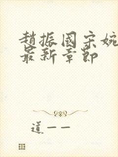 赵振国宋婉清 最新章节封面