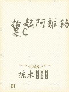 抬起阿离的腿就是C