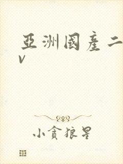 亚洲国产二区av