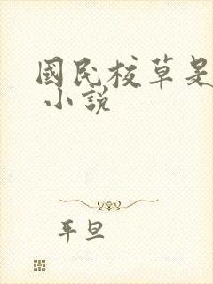 国民校草是女生 小说