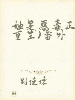 她是恶毒正妻(重生)番外