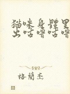 猫咪身体里面发出咕噜咕噜的声音封面