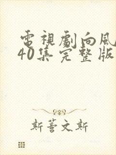 电视剧向风而行40集完整版免费观看