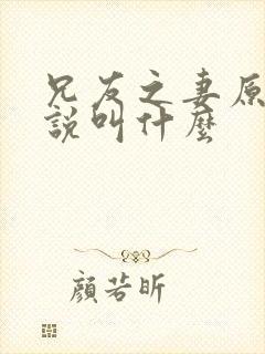 兄友之妻原著小说叫什么