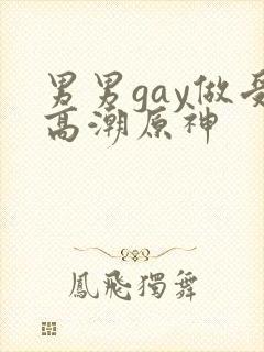 男男gay做受高潮原神封面